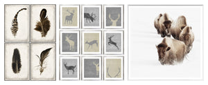 Statement Wildlife Trio Bundle