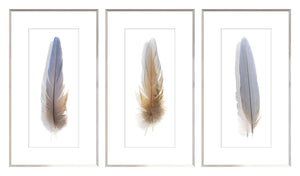 Une Plume Feather Trio Bundle