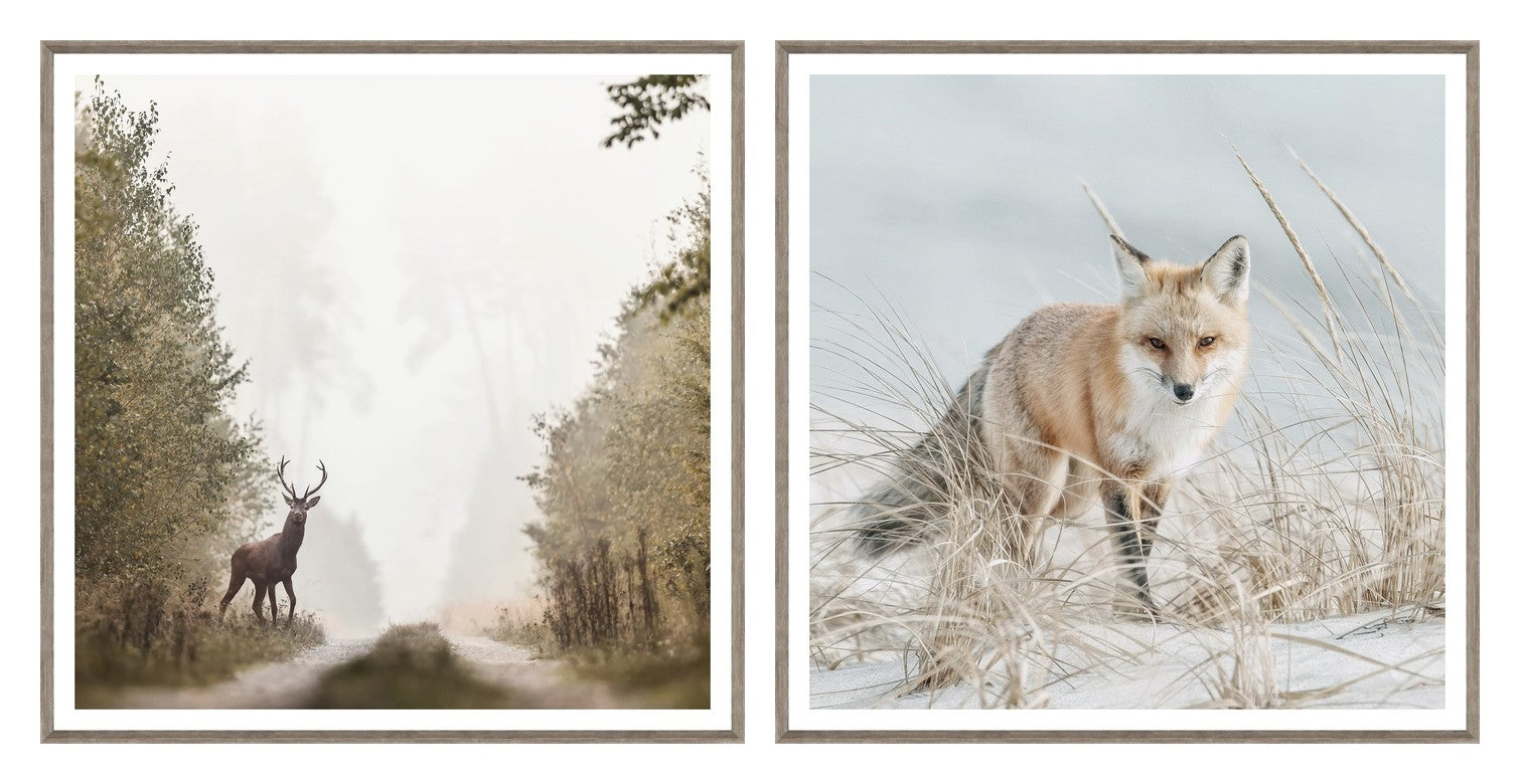 Wildlife Photography Pair Bundle - composite