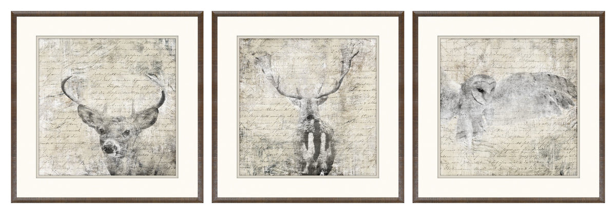 Woodland Denizens Trio Bundle