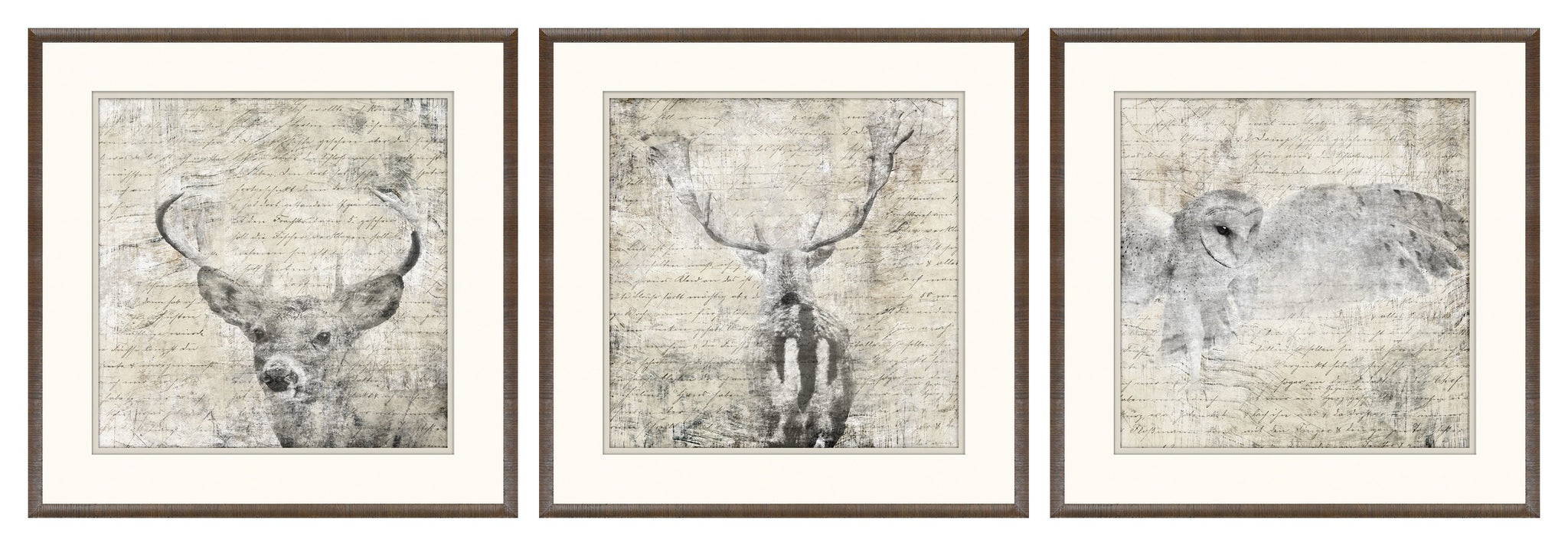 Woodland Denizens Trio Bundle