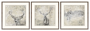 Woodland Denizens Trio Bundle