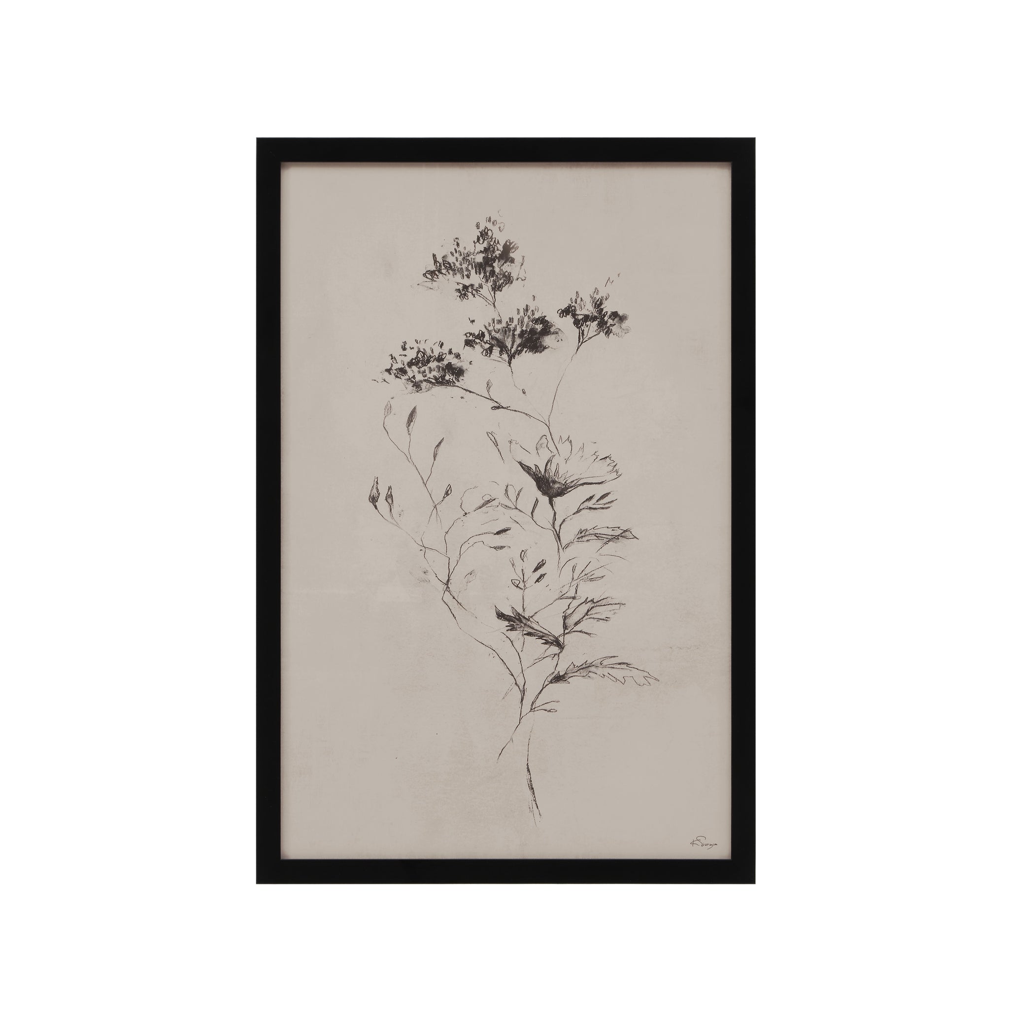 Adeline floral sketch artwork in black frame, showcasing intricate plant details.