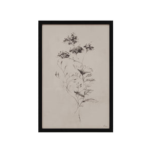 Adeline floral sketch artwork in black frame, showcasing intricate plant details.