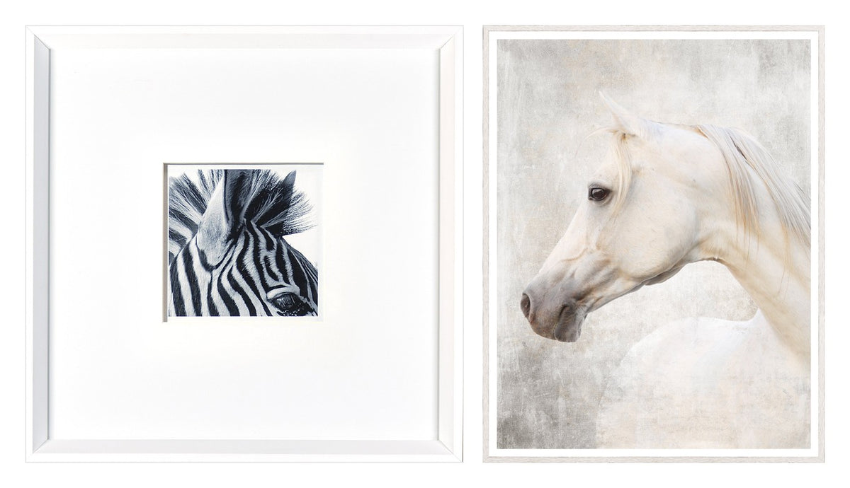 Zebra & White Arabian Pair Bundle