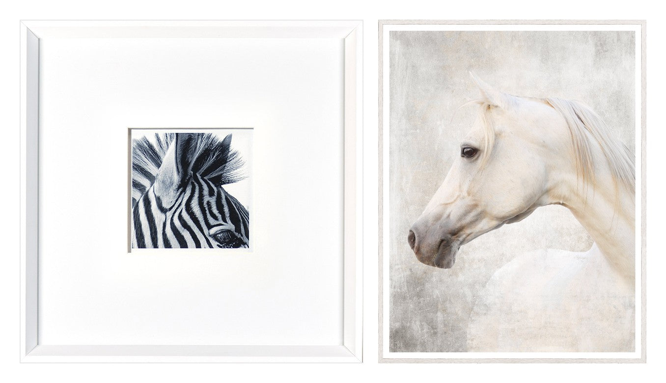 Zebra & White Arabian Pair Bundle