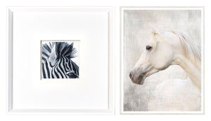 Zebra & White Arabian Pair Bundle