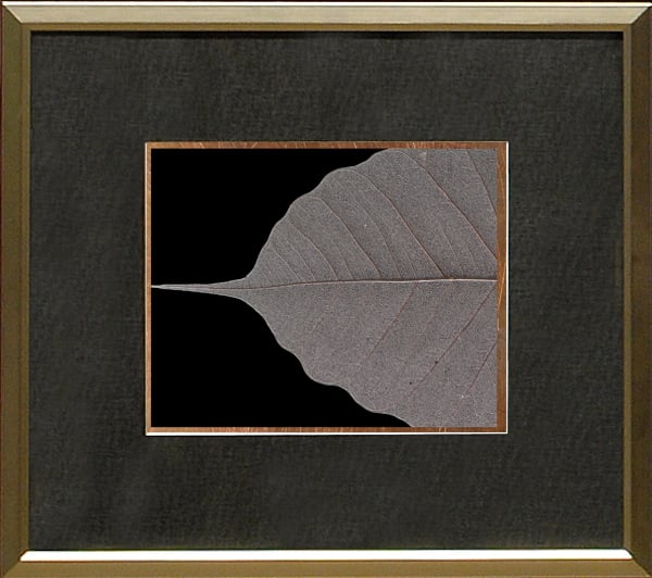 Copper Leaf Details I - IV Bundle featuring four framed leaf prints with textured details on a black background